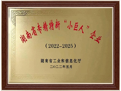 湖南省專精特新“小巨人”企業(yè)