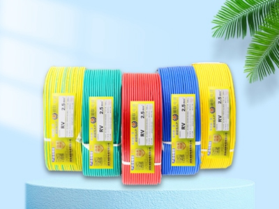 什么是RVVP屏蔽線？